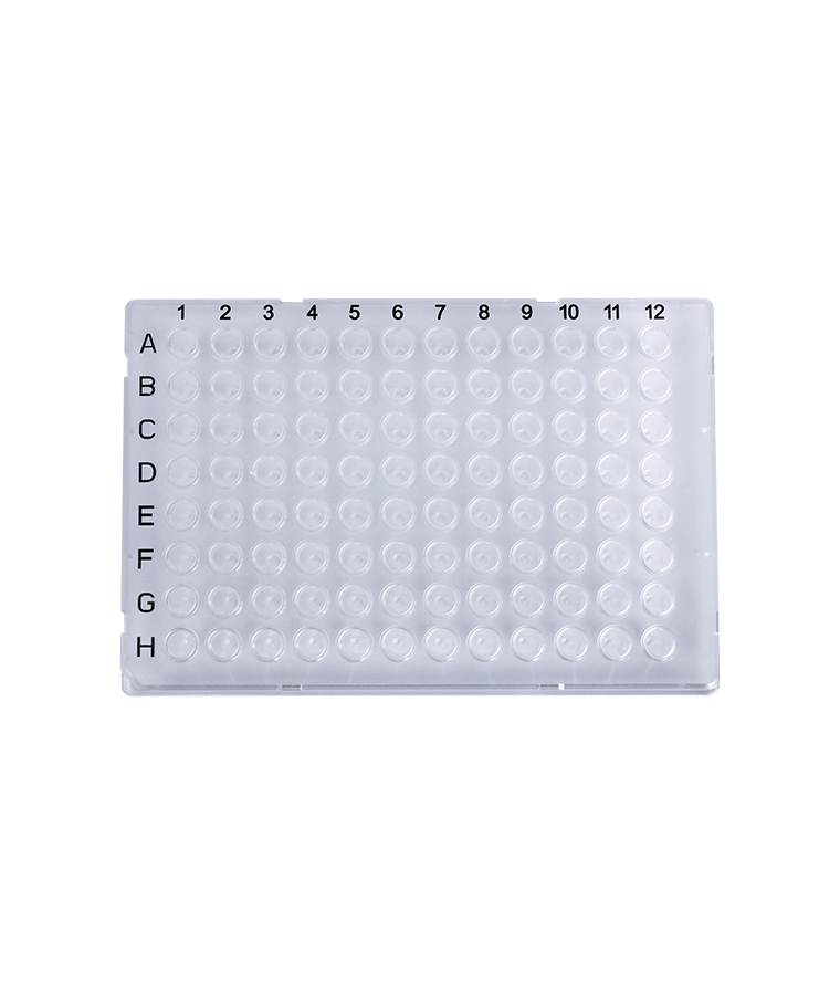 PCR20-C-96-FS-BC 0,2ml placa de PCR de saia completa de 96 poços transparente