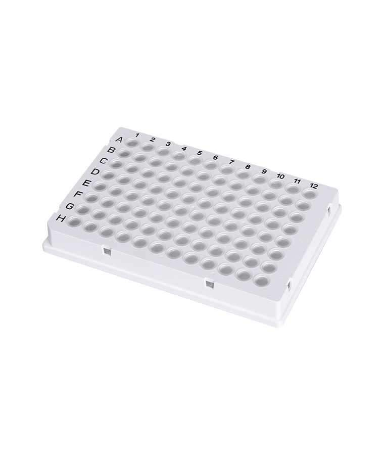 PCR20-C-96-FS-BR 0,2ml placa de PCR de saia completa de 96 poços transparente para Biorad